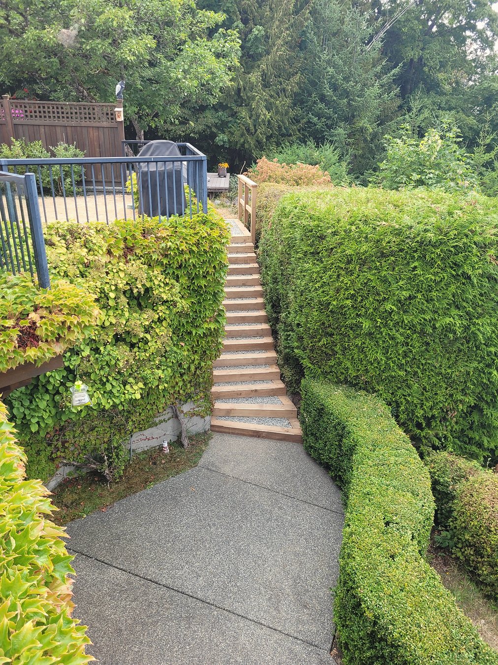 Completed timber staircase with new treads, gravel infill, and a simple wood handrail that fits naturally into the landscape.